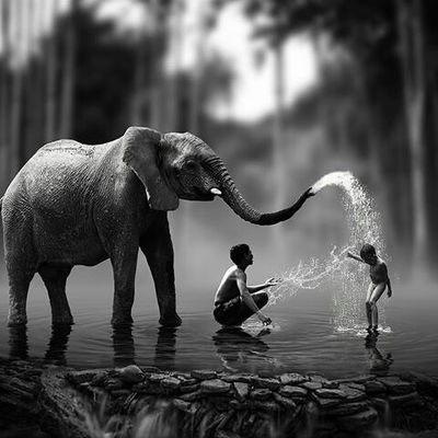 samohbeb's profile picture. 