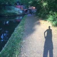 Barbara Nomikos (@heritagebuglady) 's Twitter Profile Photo