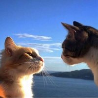 eda (@eda43736762) 's Twitter Profile