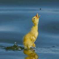 Gesaleico's profile picture. Cada vez más harto de Twitter gracias a @elonmusk, he abierto una cuenta en threads. Allí estoy como novatosnookero

@publigenil. @snookermula. Gracias.