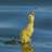 Gesaleico's profile image