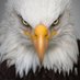 Susana DeJaime (@susanadejaime) Twitter profile photo Susana DeJaime (@susanadejaime) Twitter profile photo