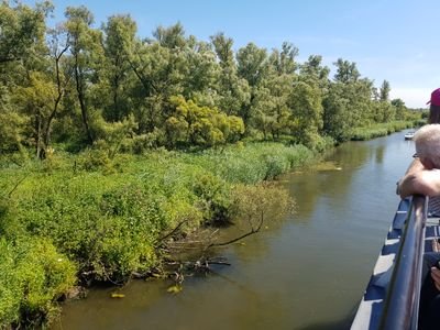 LeukePsv's profile picture. 