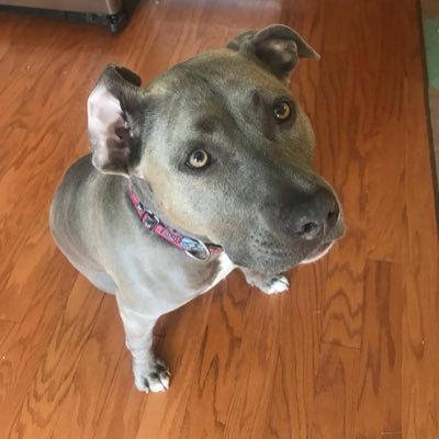 cdavis1415's profile picture. Innovation is a mixture of necessity, crazy and a bunch of trial and error.