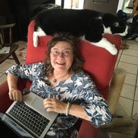 Susan M. Schultz(@SusanMSchultz1) 's Twitter Profile Photo