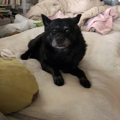 fumi57's profile picture. Living in Japan. 58 y.o. male.