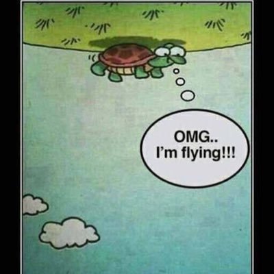 shsiwiwodb's profile picture. What is twitrer