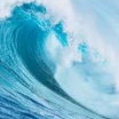 tradingsurferg's profile picture. Buy Low Sell High and swing into position. 📉📈🌊
Praise the Lord and pass the ammunition 🏄
#Trading #Bourse #Investment