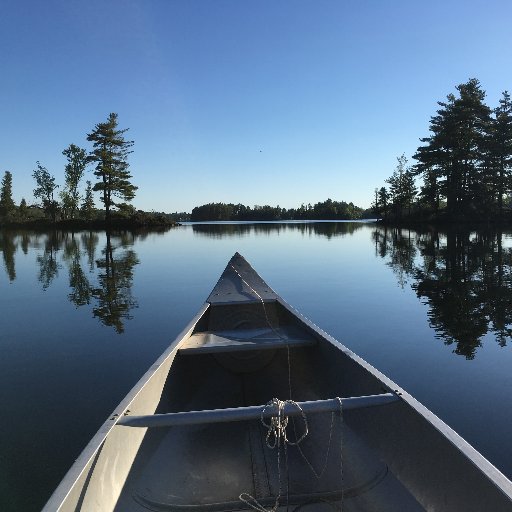 Learner, math teacher, coach, nature lover, collaborator. Interested in climate action, people, pedagogy, creativity, change, leadership.  Opinions my own.