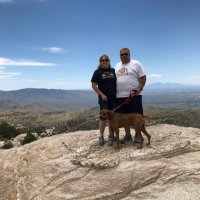 Dan Brown (@dangb1700) 's Twitter Profile