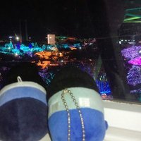ヤス猫 (@yasu_neko_1104) 's Twitter Profile Photo
