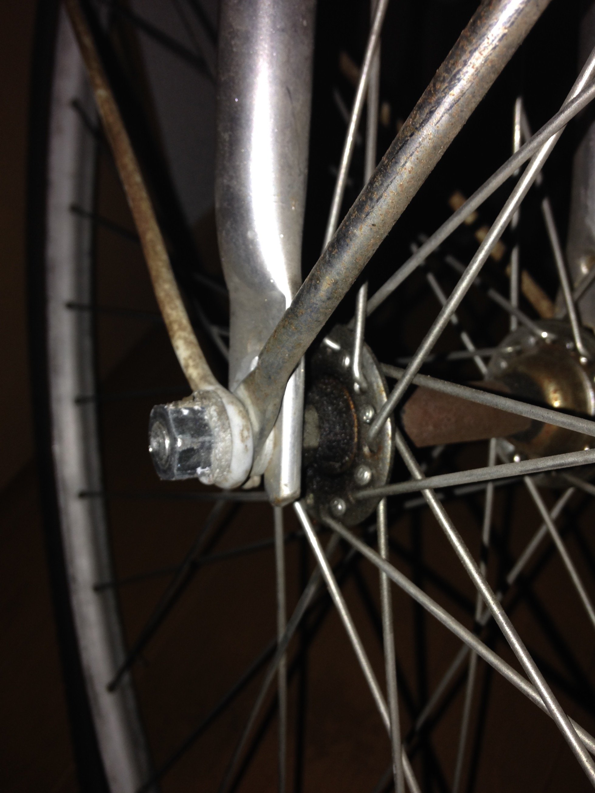 sansinasi's profile picture. 宜しく