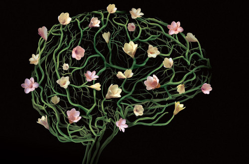 bernadettedoerr's profile picture. 