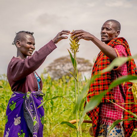 Africa Lead is the primary capacity building program in sub-Saharan Africa for @FeedtheFuture, the U.S. Government’s global hunger & food security initiative.