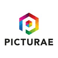 Picturae Nederland (@picturae_nl) 's Twitter Profile