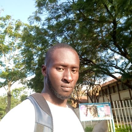 KevinKigai's profile picture. 