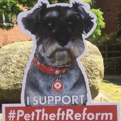 Love my family ❤️love my dog ❤️ I'm a voice for stolen pets. #ScanMe & #FernsLaw #DogTheftAwarenessDay #PetTheftReform