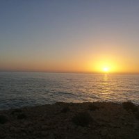 بدر الشكيلي (@shukailib) 's Twitter Profile