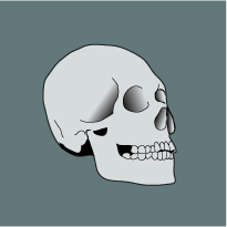 andrewneher's profile picture. I wear many hats, all of them worn before.