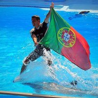Vitor Estanqueiro(@VEstanqueiro) 's Twitter Profile Photo
