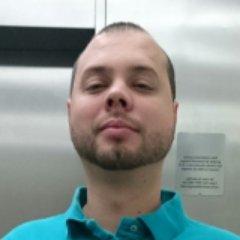 Programmer analyst for internal development