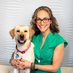 Sue Ettinger DVM (@DrSueCancerVet) Twitter profile photo