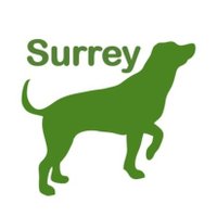 Surrey Dog News (@dogssurrey) 's Twitter Profile Photo Surrey Dog News (@dogssurrey) 's Twitter Profile Photo