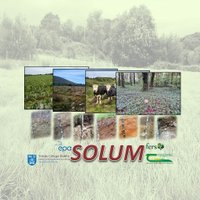 SOLUM(@SOLUM_project) 's Twitter Profileg