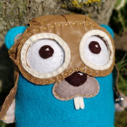 wobgophers's profile picture. 