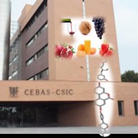 Food&Health CEBAS-CSIC(@Food_Health_LAB) 's Twitter Profile Photo