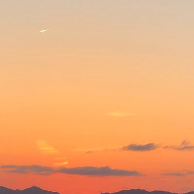 0923swim's profile picture. 