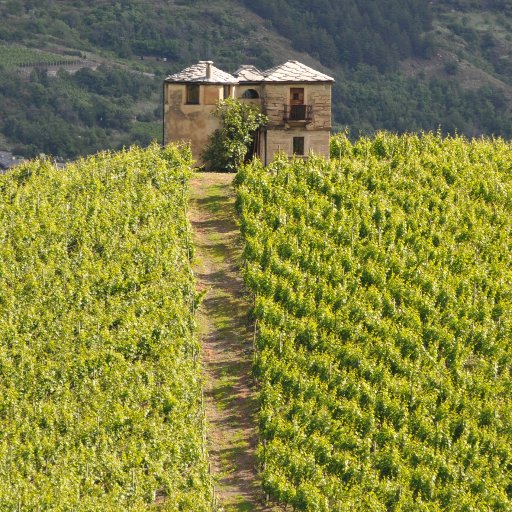 Les Crêtes winery owned by the Charrère family, makes quality crafted #mountain #wines out of the local and international varieties grown in #ValledAosta.