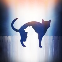 Sozo Bear Films (@sozobearfilms) 's Twitter Profile