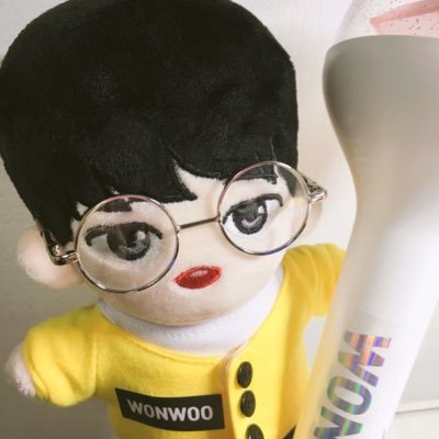 wonwoodoll_0717 Profile Picture