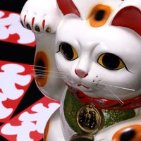 ebissm (@ebissm) 's Twitter Profile