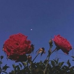 zaa003RTMS19's profile picture. 