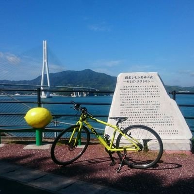 クロスバイク乗り。 ロードバイクのために貯金中…