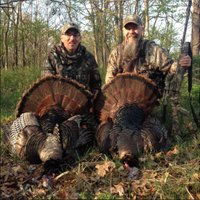 Mike Emerson (@pigpicker) 's Twitter Profile