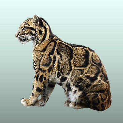 Harano T カリフォルニアでのサーベルタイガー スミロドン とアメリカライオンの絶滅原因は 餌不足ではないー絶滅 直前の時代でも 獲物の骨まで齧るような行動はとっていなかった Http T Co Duc0yacj
