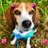 ぷりん💝Pudding💝🐶🍮A rescued beagle dog🌼 (@23pudding_)