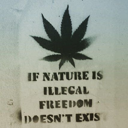 I Will Never Forget Your Commandments, For By Them You Give Me Life. Psalm 119:93
If Nature Is Illegal,
Then Freedom Does Not Exist.
The Son and Evangelist