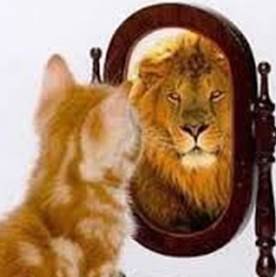 CathHenshaw's profile picture. Works for The Royal British Legion. Armchair twitter user. Typos and views my own.