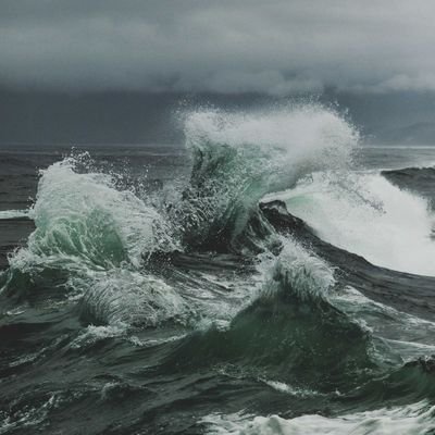 basilAhmad1988's profile picture. Humble human