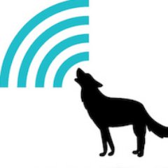 wolf_SSH's profile picture. 