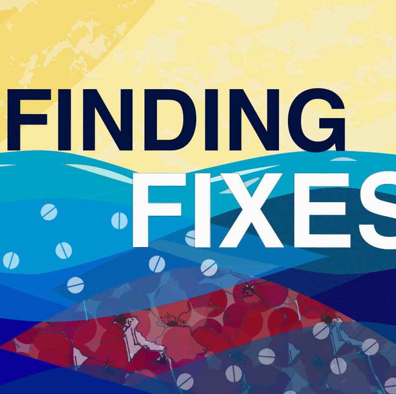 Visit Finding Fixes Profile