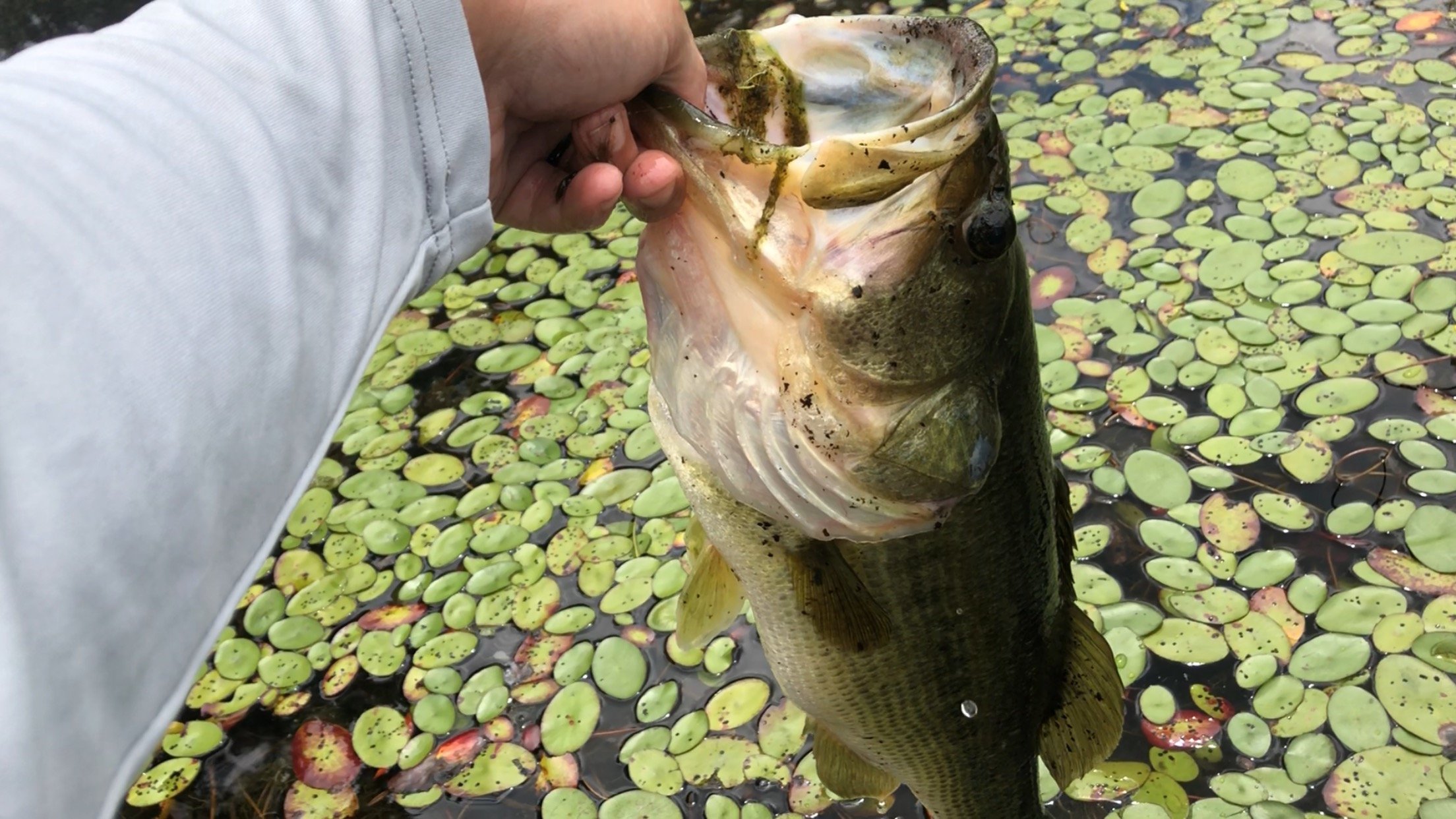 AdamTheAngler's profile picture. Amateur Woodworker just getting started also I like to fish and love to catch! $mooth910