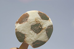 bomjun's profile picture. .