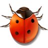 BawonoRobert's profile picture. Biologi, Biokimia, Biogas, Biodata, Biography, Biotechnology.