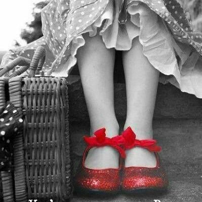 Llama_balls's profile picture. 