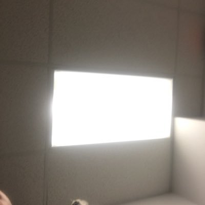 LukeDawley's profile picture. 